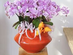 -F.Story 花和故事(新天地店)