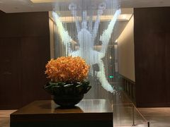 -丽晶轩中餐厅(重庆丽晶酒店)