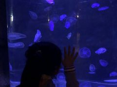 -香港海洋公园