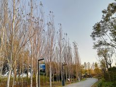 -东郊湿地公园