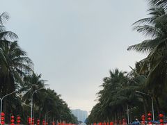 -海大南门夜市(海富街店)