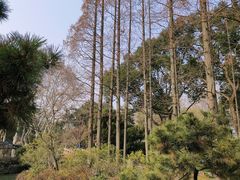 -上海醉白池公园