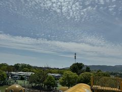 -苏州太湖西山岛开心农场