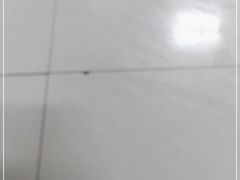 -湊湊火锅·茶憩(石家庄万象城店)