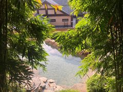 -崇阳三特浪口温泉