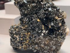 -湖南省地质博物馆