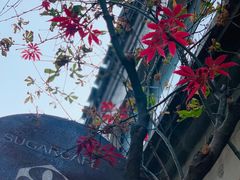 -糖房咖啡(南锣鼓巷店)