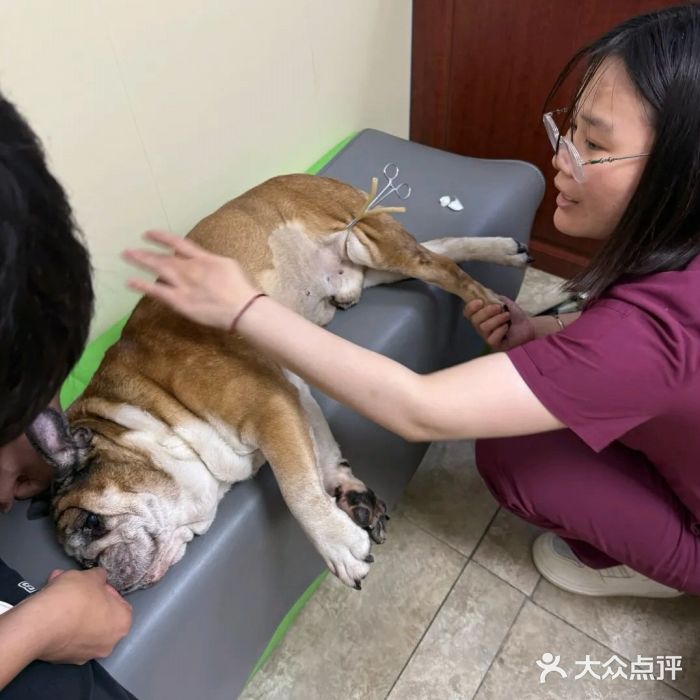 美联众合动物医院·24h转诊中心图片