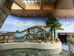 -延庆地质公园博物馆