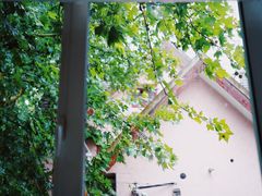 -蝶舍·MAISON PAPILLON