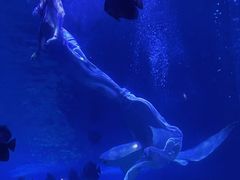 -石林冰雪海洋世界