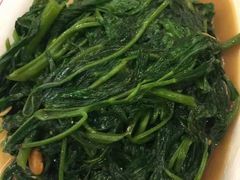 -中国城银都鱼翅酒楼