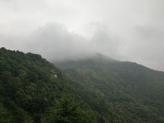 -北京鹫峰国家森林公园