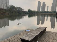 -前关湿地公园