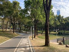 -春润大地海南椰子鸡(沙井京基百纳广场店)