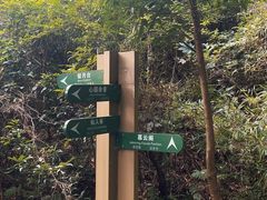 -杭州半山国家森林公园