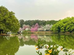 -中国科学院华南植物园
