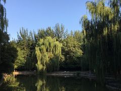 -西安市长乐公园