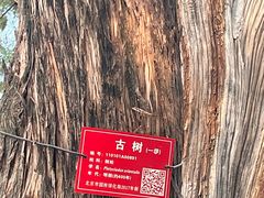 -北京市劳动人民文化宫(太庙)