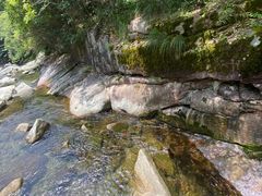-大鄣山卧龙谷景区