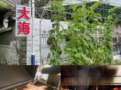 -大海别墅民宿农家院(十渡店)