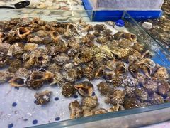 -川骄海鲜自助(河东店)