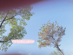 -上海辰山植物园