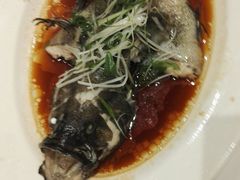 -稻香酒家·33年老字号·港式粤菜(富邦中心店)