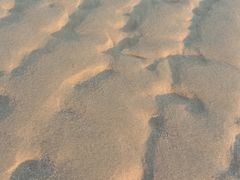 -放鸡岛生态旅游国际度假区