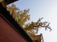 -故宫博物院(故宫)