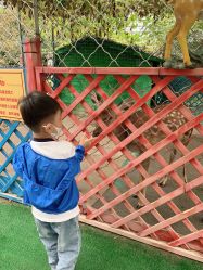 点击看大图 -萌宠亲子动物乐园(槐房万达店)