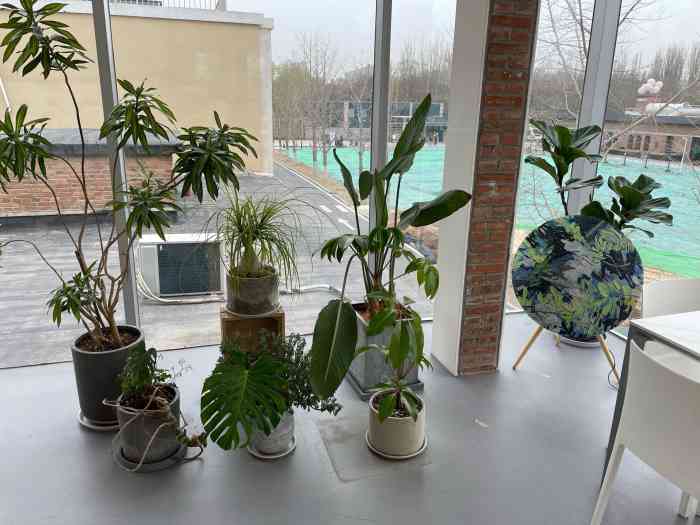 cyber plants-"红配绿 出cp 本来上周末和老板娘约好.