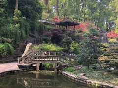 -南山植物园