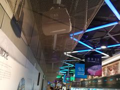 大堂-盒马鲜生(曜一城店)
