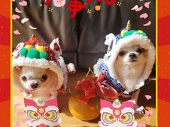 -君悦酒店·1881·北京烤鸭