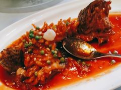 -沪碟·精菜坊(闵行店)