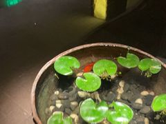 -曲水兰亭(北京四惠店)
