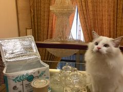 -7cake憩刻生日蛋糕·下午茶(无锡店)