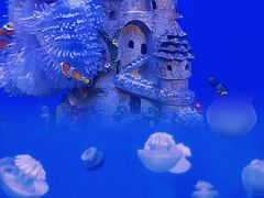 -海合安武汉极地海洋公园