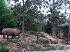 -清迈夜间动物园