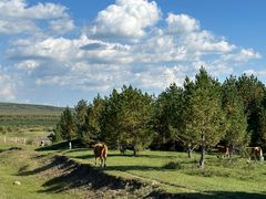 -塞罕坝国家级自然保护区