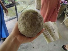 -大象粑粑造纸公园