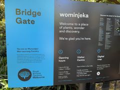 -墨尔本皇家植物园