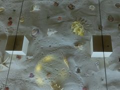 -青岛贝壳博物馆