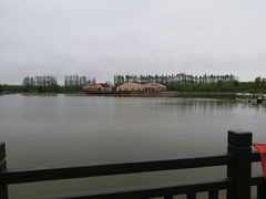 -上海长兴岛郊野公园