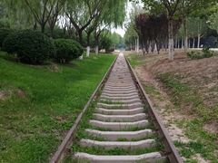 -永定河休闲森林公园