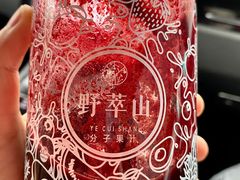 -野萃山·潮汕厚果汁(十亩地店)
