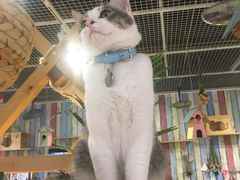 -小时光咖啡馆(开森度假森林店)