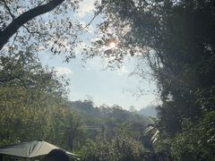 -野象谷景区