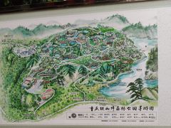 -铁山坪森林公园